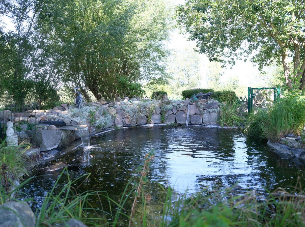 Ferienbungalow Haus Am Teich Boltenhagen  Exterior photo